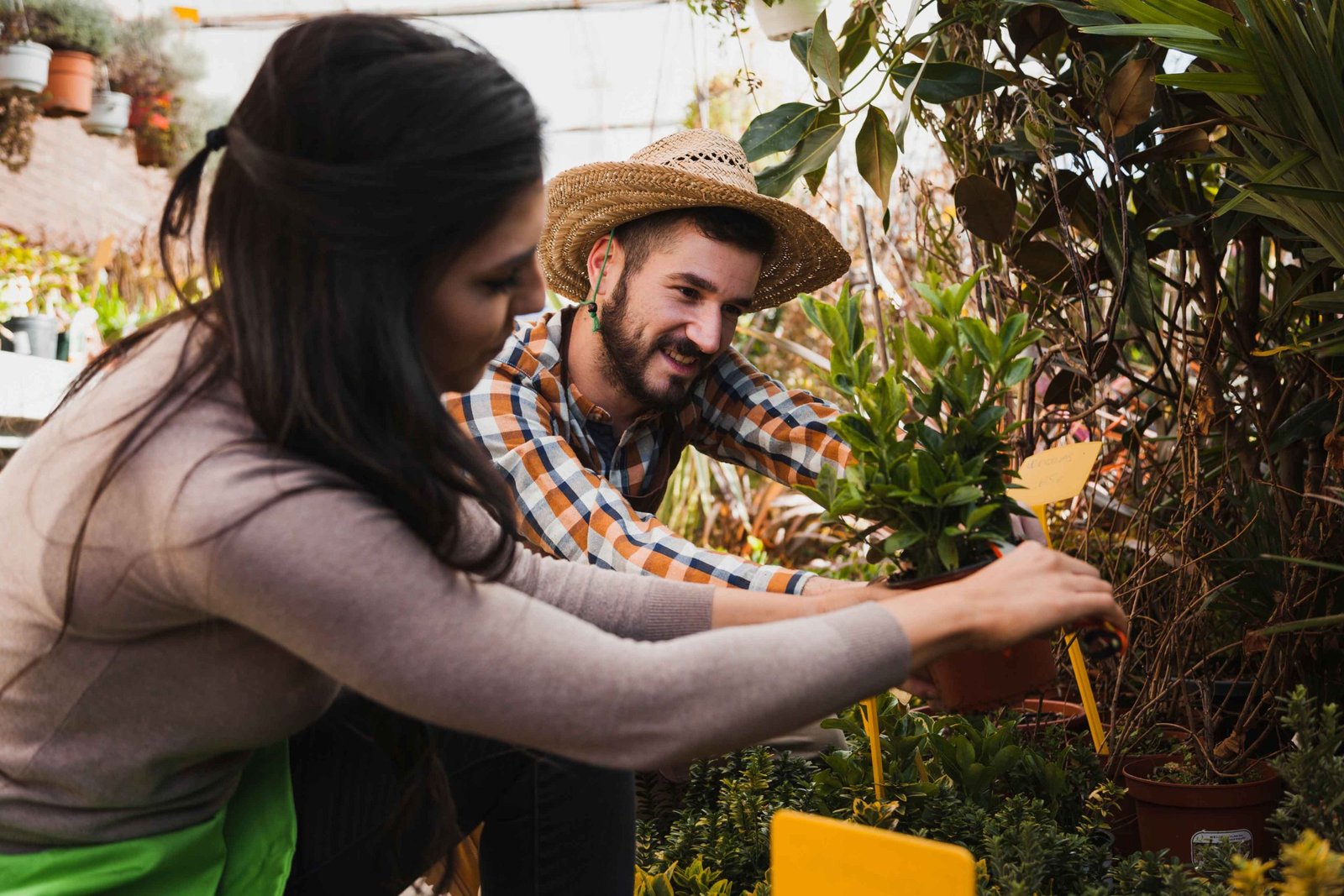 One-Stop Platform for Climate Jobs, Events and Learning